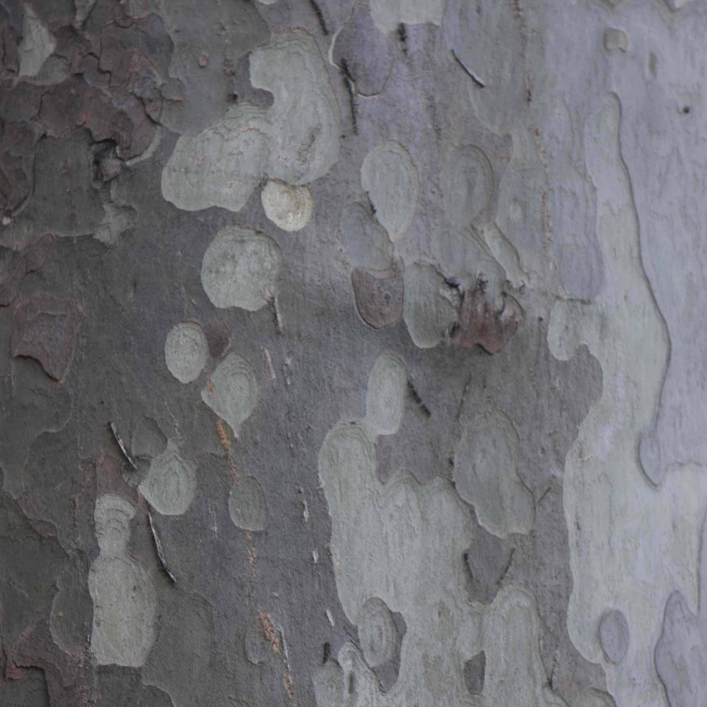 Sorry - this image is currently unavailable