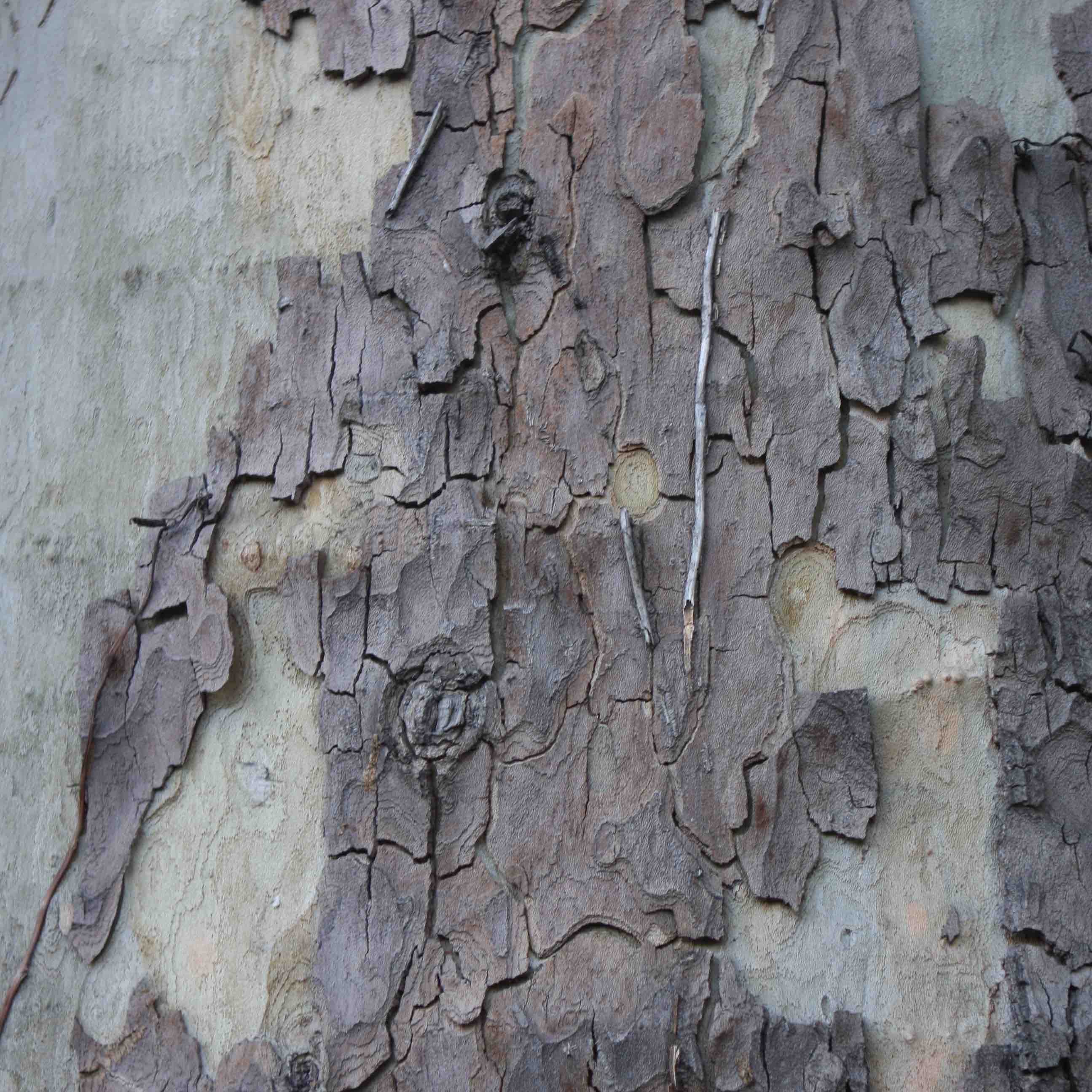 Sorry - this image is currently unavailable