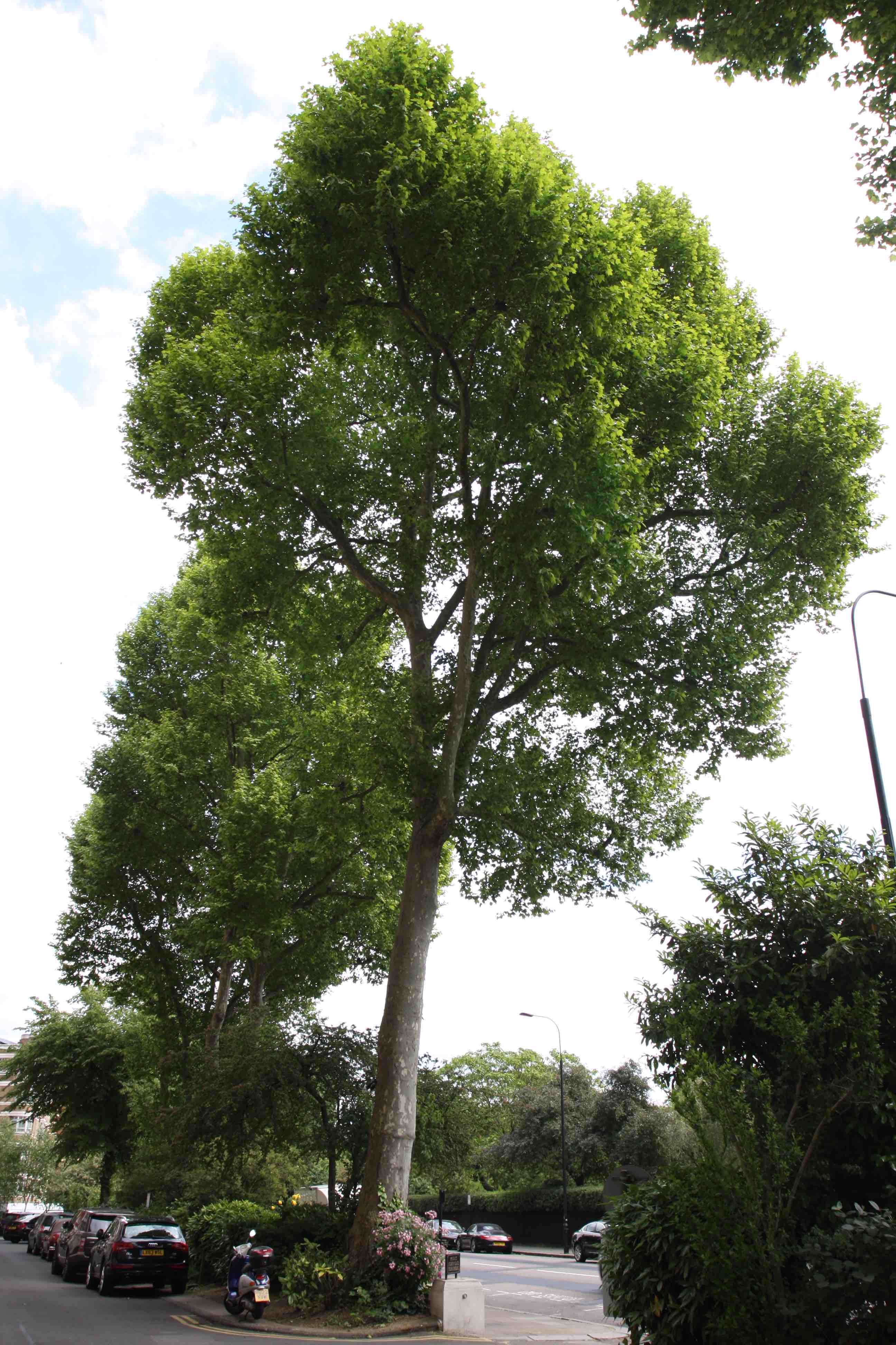 Sorry - this image is currently unavailable